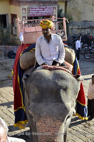 04 Fort_Amber_and Elephants,_Jaipur_DSC4993_b_H600